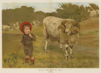 The Boy that drove the Sheep